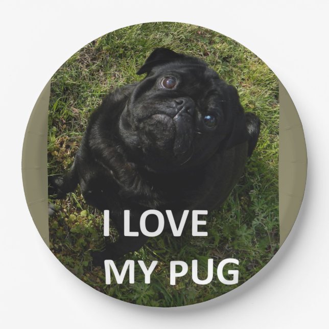 Prato De Papel pug preto amor c foto (Frente)