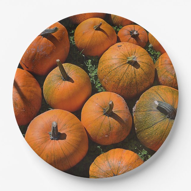 Prato De Papel Pumpkin Harvest Paper Play (Frente)