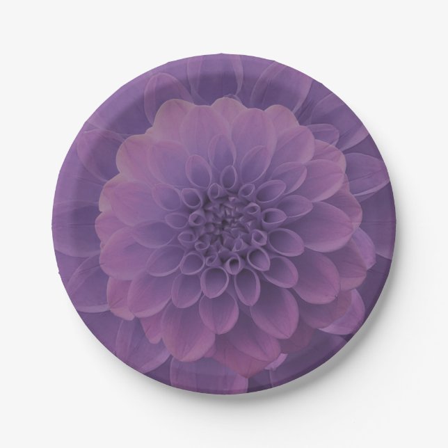 Prato De Papel Purple Dahlia (Frente)