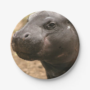 Prato De Papel pygmy-hippo-1