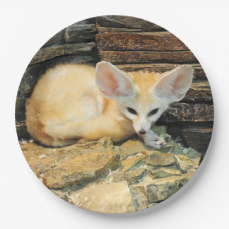 Prato De Papel Raposa bonito do fennec