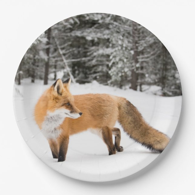 Prato De Papel Raposa Vermelha na Neve Branca (Frente)