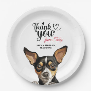 Prato De Papel Rat Terrier