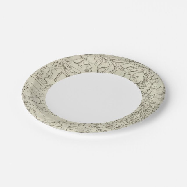 Prato De Papel Reações (Inclinado)