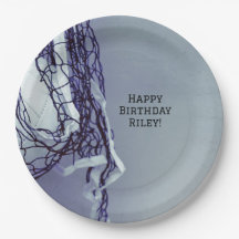 Rede de Festas de aniversário e Voleibol para Cinz