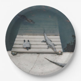 Prato De Papel Répteis