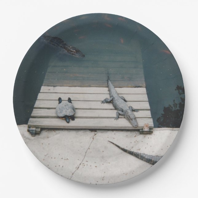 Prato De Papel Répteis (Frente)