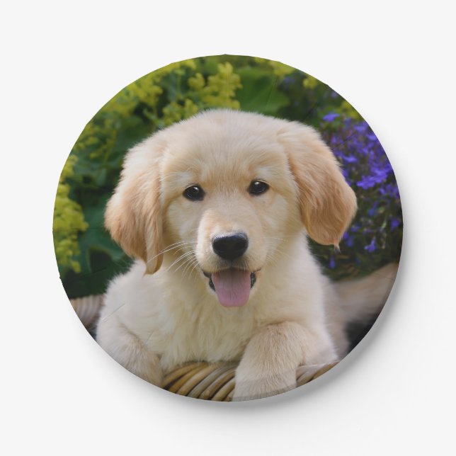 Prato De Papel Retrato de encantamento do filhote de cachorro do (Frente)