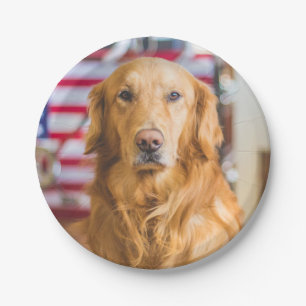 Prato De Papel Retrato do cão do golden retriever
