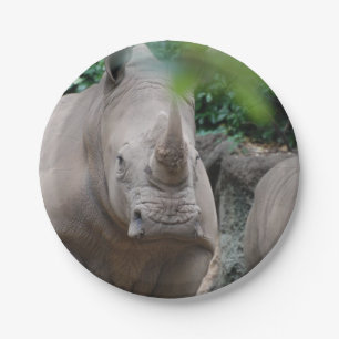 Prato De Papel Rinoceronte bonito