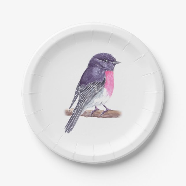 Prato De Papel Robin Paper Plates (Frente)