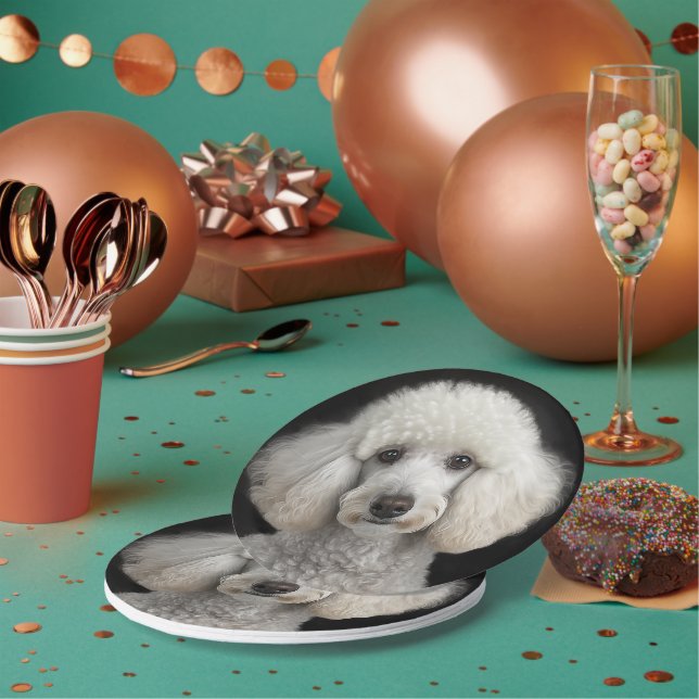 Prato De Papel Rocky (Múltiplo)