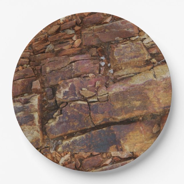 Prato De Papel Rocky View (Frente)