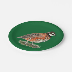 Prato De Papel Rooster Bobwhite Quail