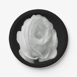Prato De Papel rosa branco sobre fundo preto