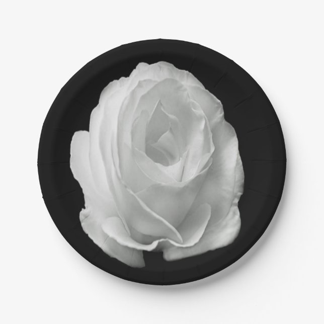 Prato De Papel rosa branco sobre fundo preto (Frente)