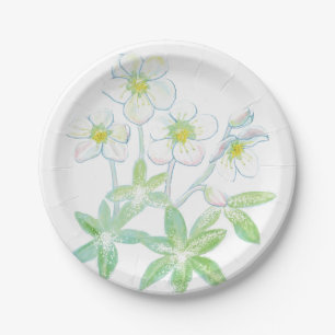 Prato De Papel Rosa de Natal, Helleborus niger Ilustração