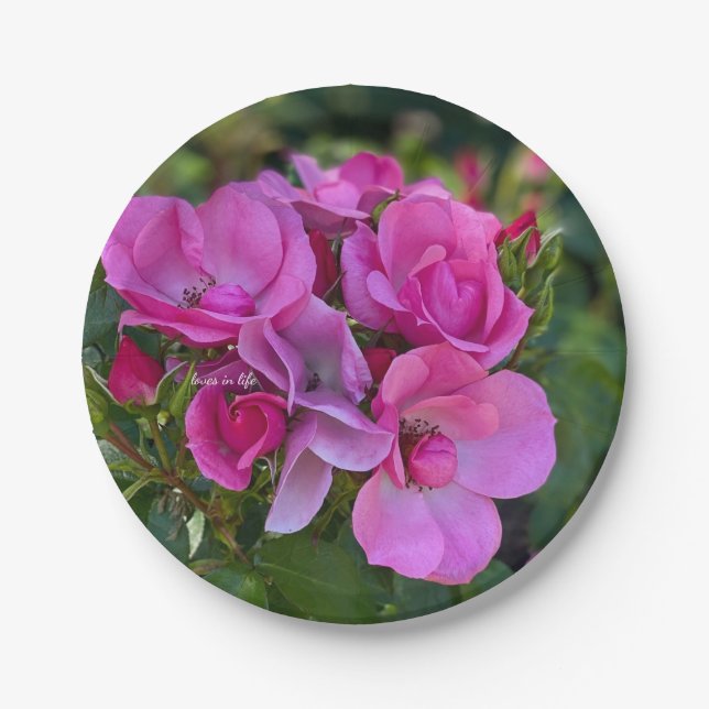 Prato De Papel Rosa Lavanda (Frente)