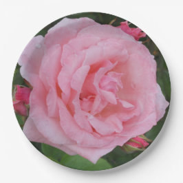 Prato De Papel Rosa rosa clássica
