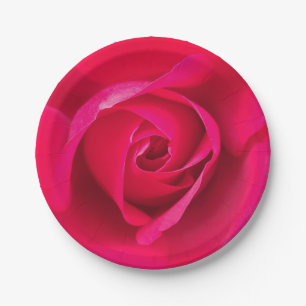 Prato De Papel Rosa Vermelho Romântico Rosa v2