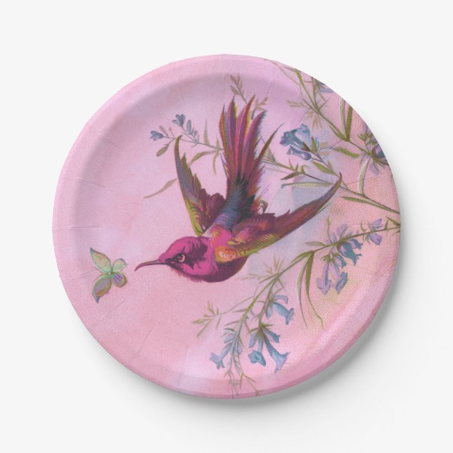 Prato De Papel Rosy Red Hummingbird (Frente)
