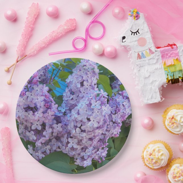 Prato De Papel Roxo Lilac Blooms Floral (Festa)