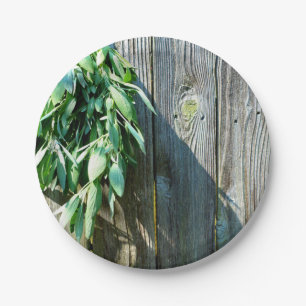 Prato De Papel Sage Barn-wood, recortada recentemente