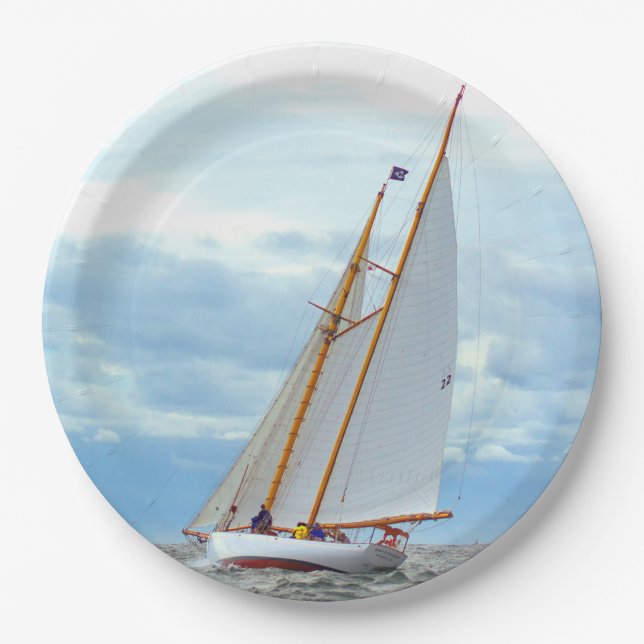 Prato De Papel Saída No Brilhante (Frente)