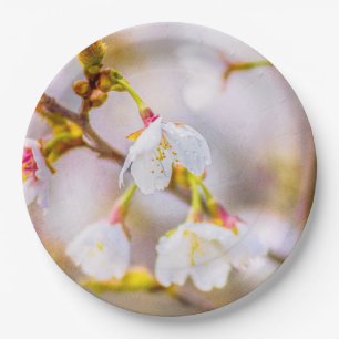 Prato De Papel Sakura - Flor de Cereja Japonês