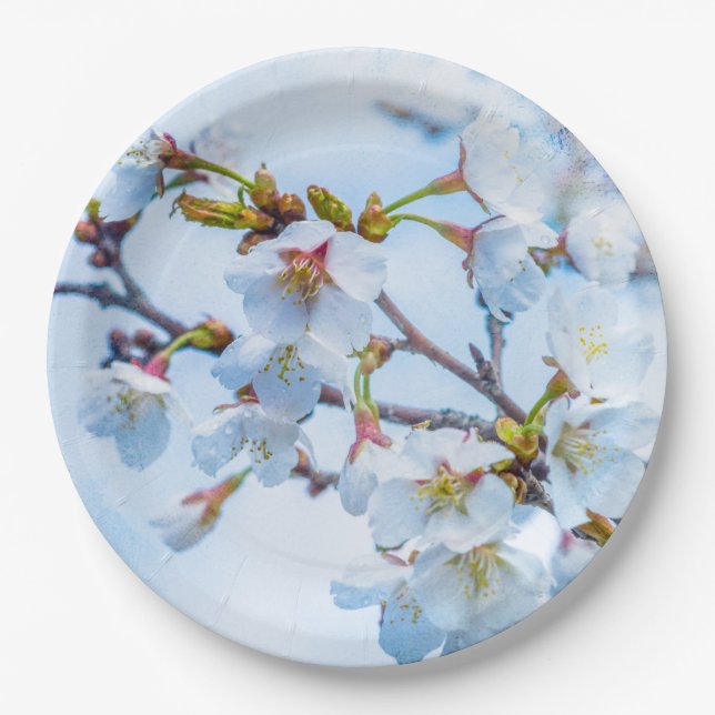 Prato De Papel Sakura - Flor de Cereja Japonês (Frente)