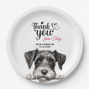 Prato De Papel Schnauzer padrão