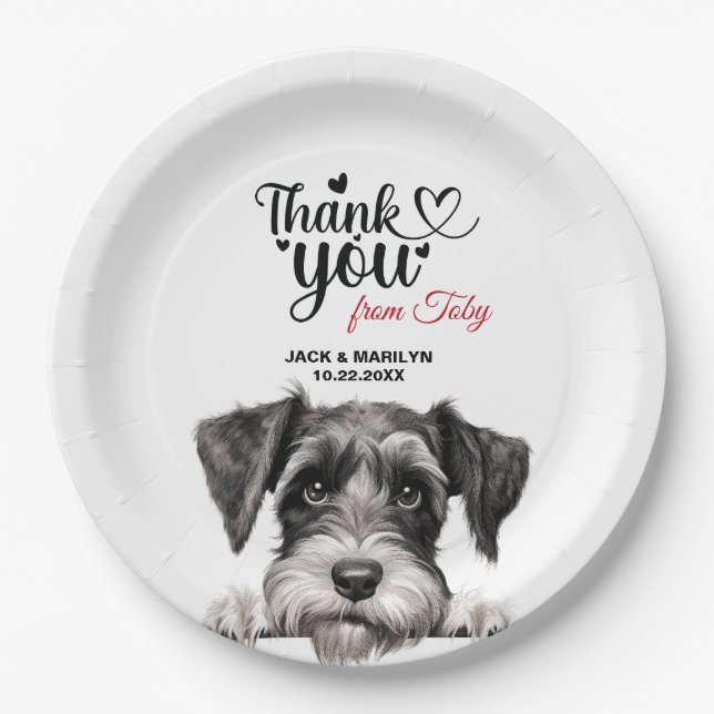 Prato De Papel Schnauzer padrão (Frente)