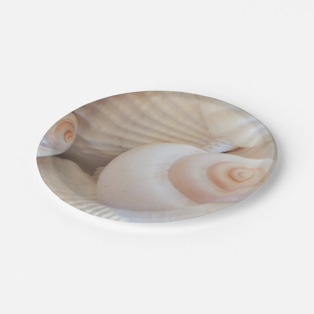 Prato De Papel Sea Shells Love, Summer Beach Picnic, Papel Plate (Inclinado)