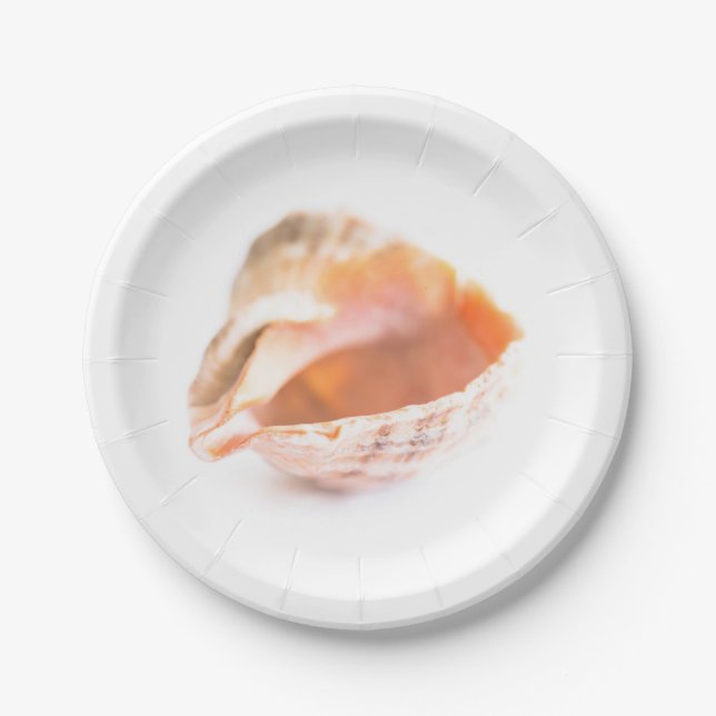 Prato De Papel Seashell (Frente)