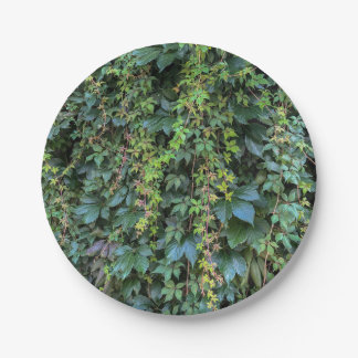 Prato De Papel Serene Green Ivy Wall Prendendo Folhas de Plantas