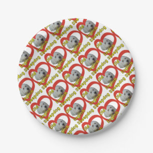 Prato De Papel Sheepdog inglês velho