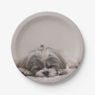 Prato De Papel Shih tzu Plate Personalizado, Cão Dormindo