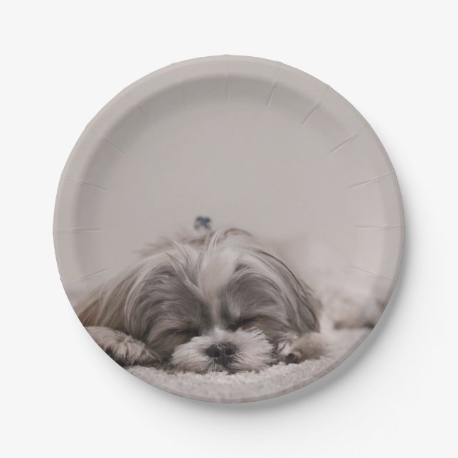 Prato De Papel Shih tzu Plate Personalizado, Cão Dormindo (Frente)