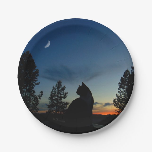 Prato De Papel Silhueta (Frente)