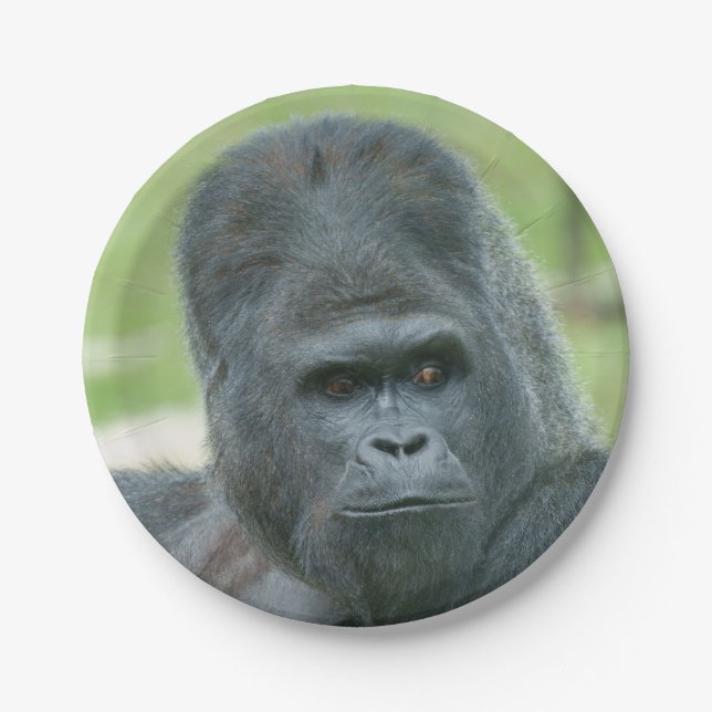 Prato De Papel Silverback Dishi (Frente)