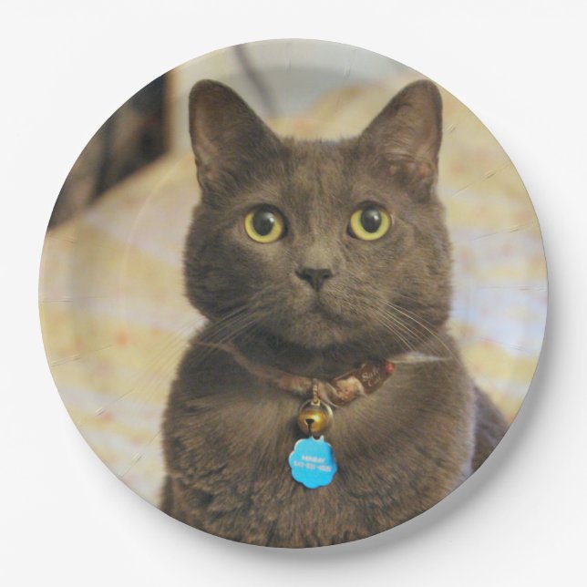 Prato De Papel Sinais (Frente)