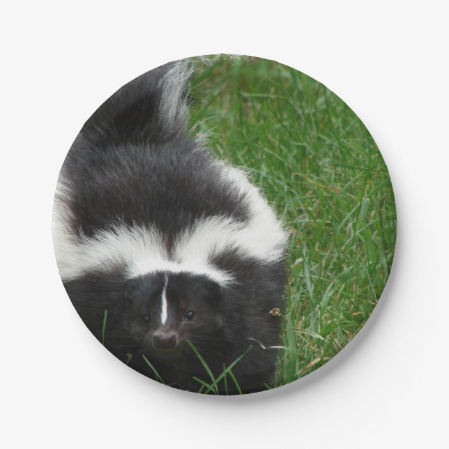 Prato De Papel skunk-2 (Frente)