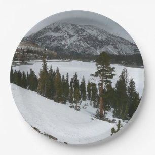 Prato De Papel Snowy Ellery Lake California - Paisagem de inverno