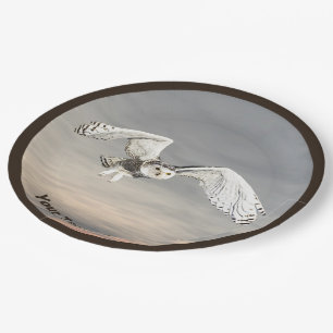 Prato De Papel Snowy Owl