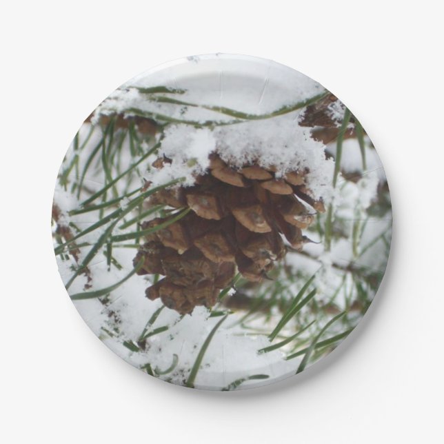 Prato De Papel Snowy Pine Cone I Winter Nature Photoshop (Frente)