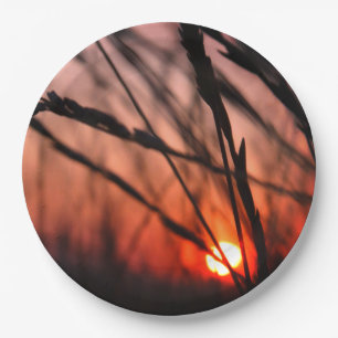 Prato De Papel Sol na grama Papel Personalizado Placa 9 em