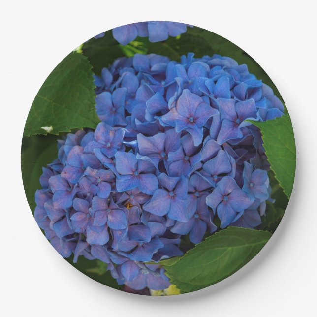 Prato De Papel Sombras De Azul - A Hídrangea Azul (Frente)