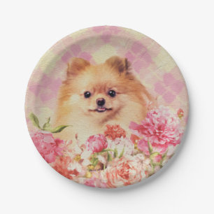Prato De Papel Spitz alemão Pomerano Bonito com Flores