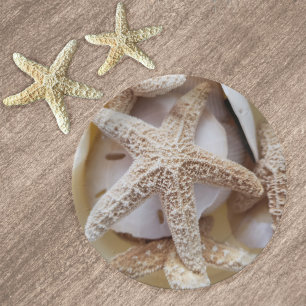 Prato De Papel Starfish e Sand Dollares Elegante
