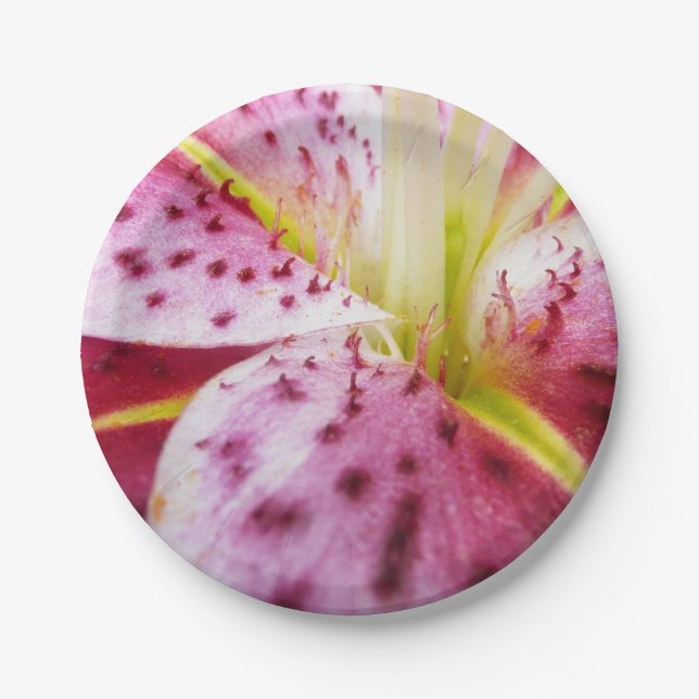 Prato De Papel Stargazer Lily Bright Magenta Floral (Frente)